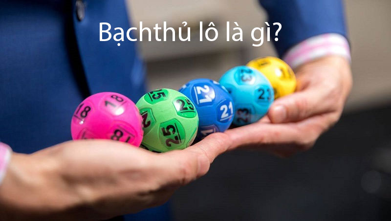 Bạch thủ lô là gì?