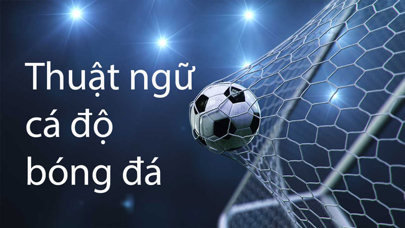 Thuật ngữ cá độ bóng đá